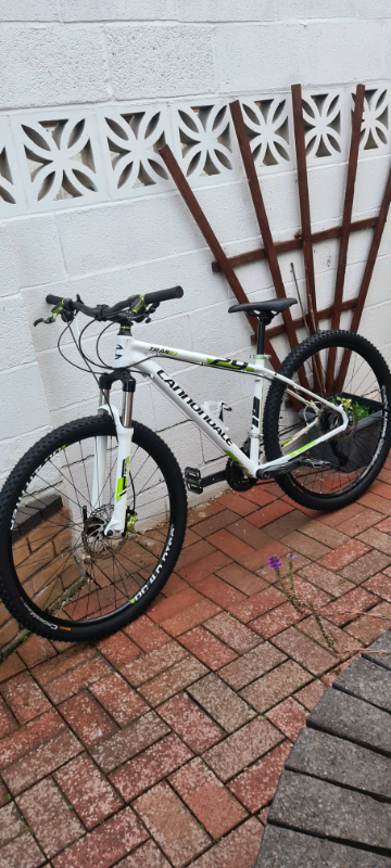 2015 cannondale trail 4