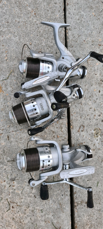 cult carp reels