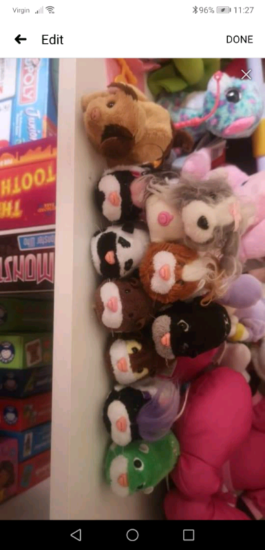 Free. ZHU ZHU Hamsters and track. | in Motherwell, North Lanarkshire