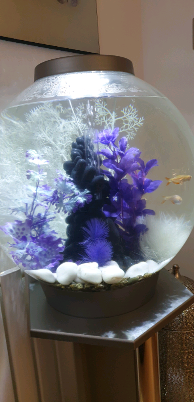 Biorb aquarium | in Dundee | Gumtree