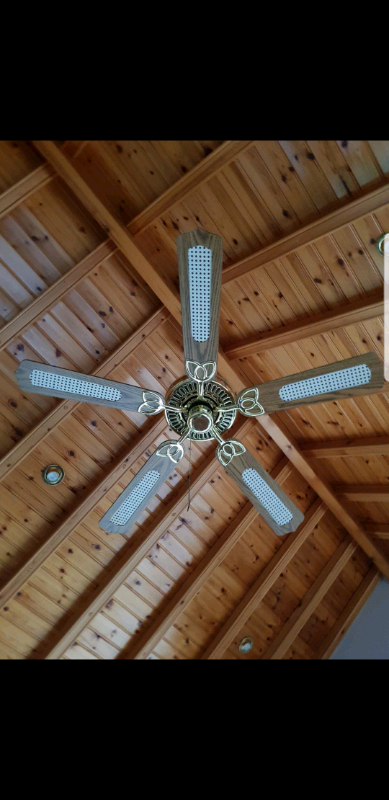 Large Ceiling Fan In Banbridge County Down Gumtree