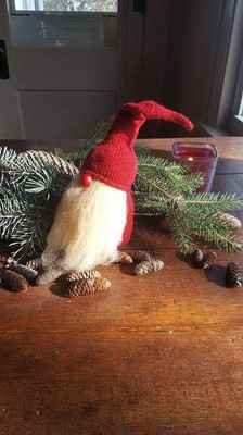 Holiday Gnome