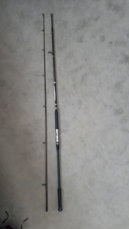 pro bass fishing rod