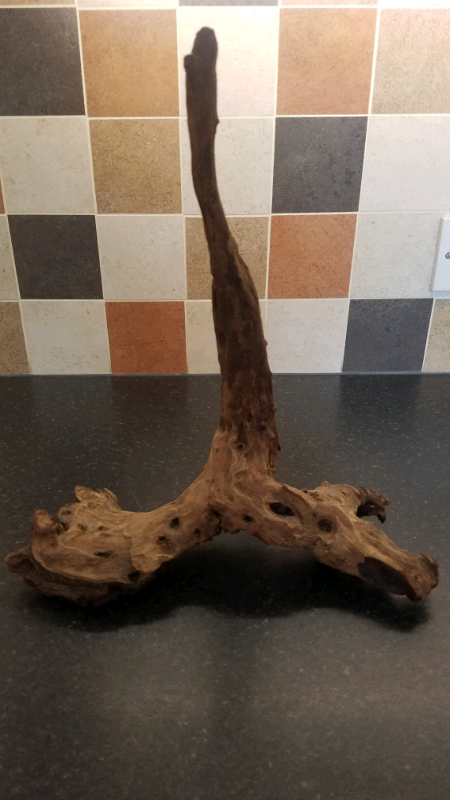 BOG WOOD | in Birstall, Leicestershire | Gumtree