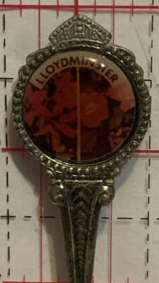 Lloydminster Canada's Border City Alberta Saskatchewan  Gazelle  Silverplated So