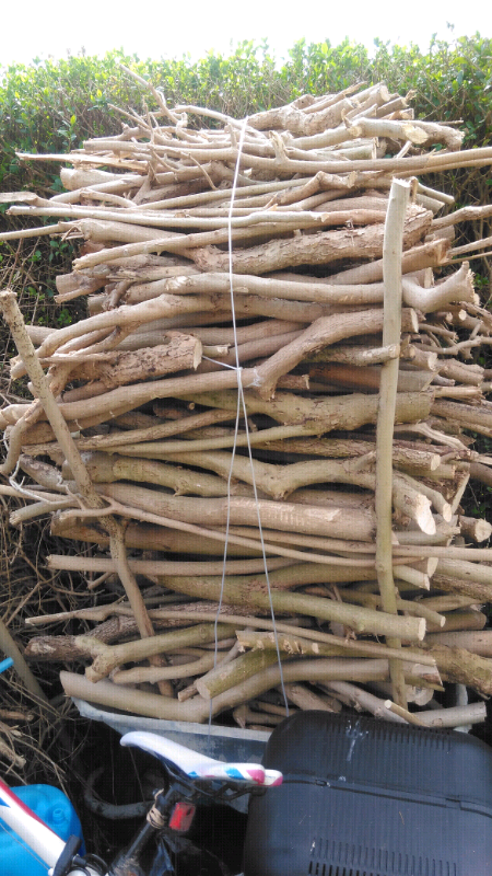 Wood For Free