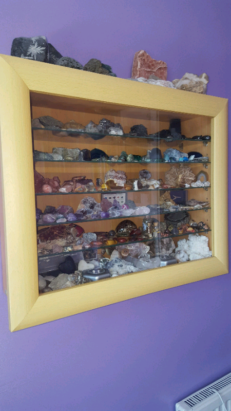 Joblot Collection Of Gemstones Rocks Minerals Shells And Fossils