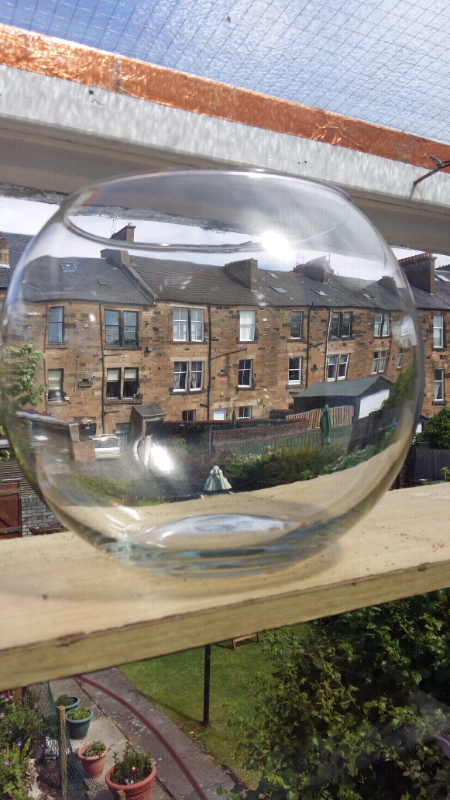 8 X 9 Glass Bubble Vase Fish Bowl In Southside Glasgow Gumtree