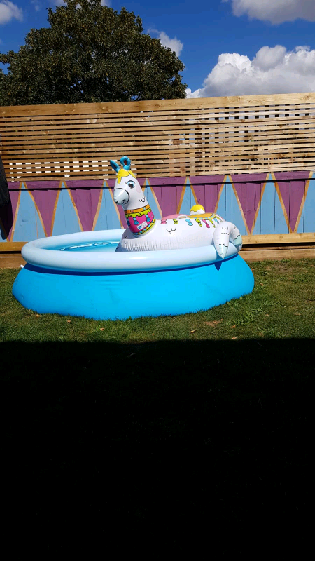 Bestway 10foot fast set pool | in Norwich, Norfolk | Gumtree