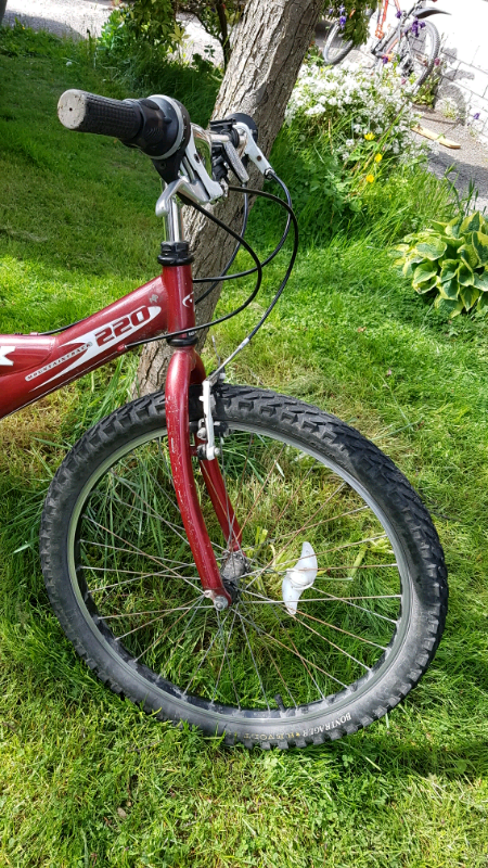 2009 trek mt 220