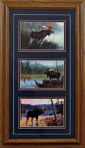 Les Kouba Surveying His Domain Moose Trilogy-Framed 14 x 24
