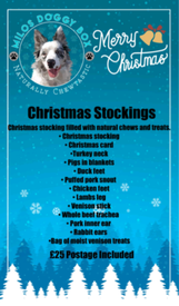 Labrador Retriever Dogs And Puppies For Sale In Prenton Pets4homes