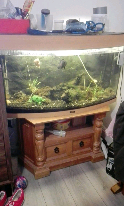 180l fish tank with external filter, heater in 