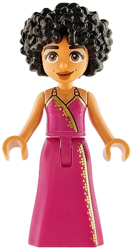 Friends Zahra - Magenta Dress with Gold and Dark Blue…