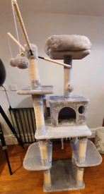 gumtree cat tree Cinosural International School