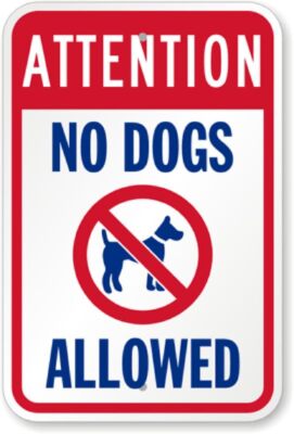 Attention No Dogs Allowed Aluminum Weatherproof 8'' x 12'' Sign p00518