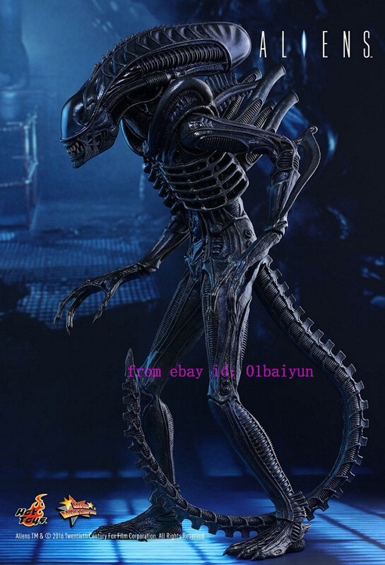 $_57.JPG?set_id=8800005007