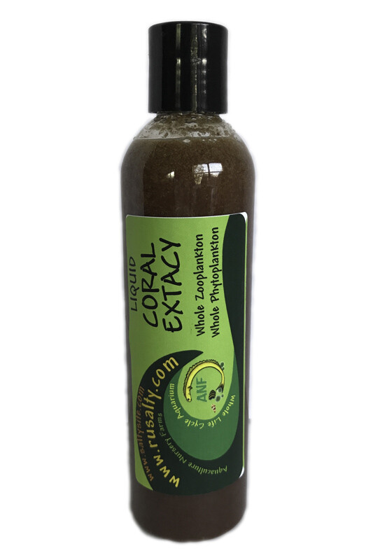 400 Amphipods Aquacultured Saltwater Amphipods by RUSALTY Live Fish Food Pods