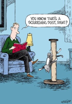 Funny Birthday Card Cat – Hilarious Cartoon Woodmansterne Greeting Card