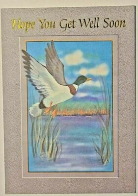 Hi-Lites by Majestic Greetings Get Well Duck Lake Sick Hospital Surgery Thought