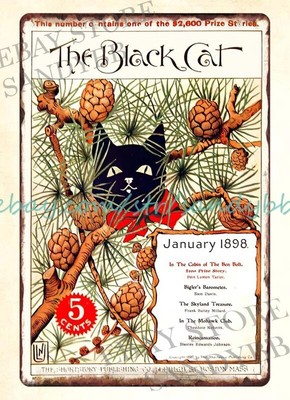 lodge cafe metal advertising wall art 1898 Black Cat metal tin sign