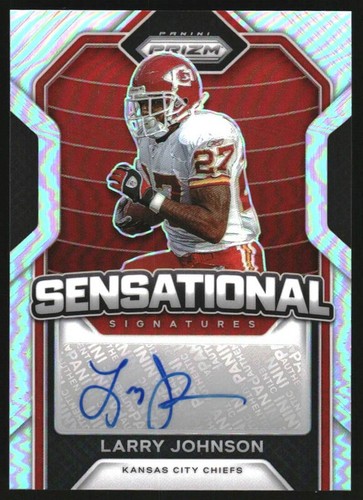 その他 LARRY JOHNSON auto 2019-20 Panini Mosaic Larry Johnson Silver Prizm Autograph