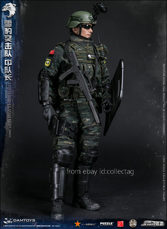 【DAMTOYS】78053 1/6 CHINESE PEOPLE'S ARME Damtoys 78053 1/6 Chinese People'S Armed Police Force Snow