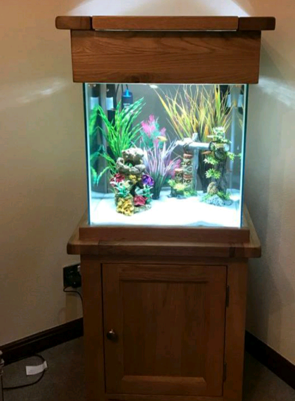 Fish tank 80ltr solid oak unit dobbies **Reduced** in Arbroath, Angus