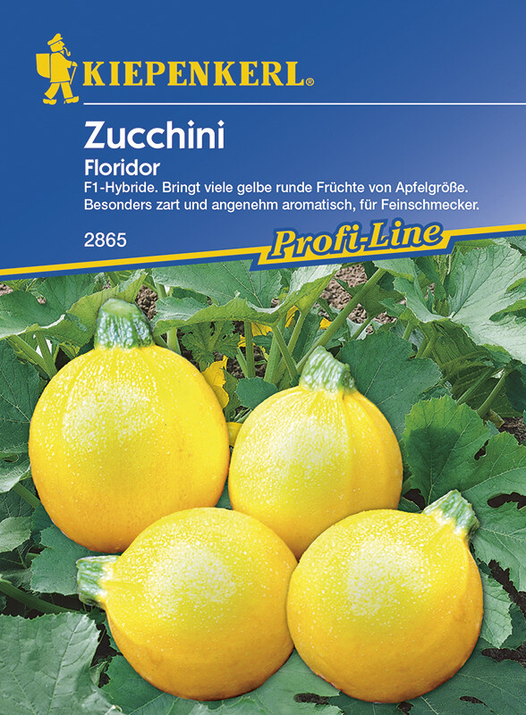 Zucchini Floridor rund gelb