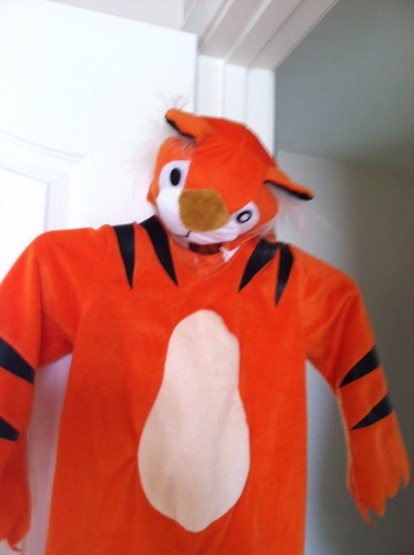 Toddler/child Orange Tiger Costume 28 in. long/11 in. wide/sleeves 12 in. long