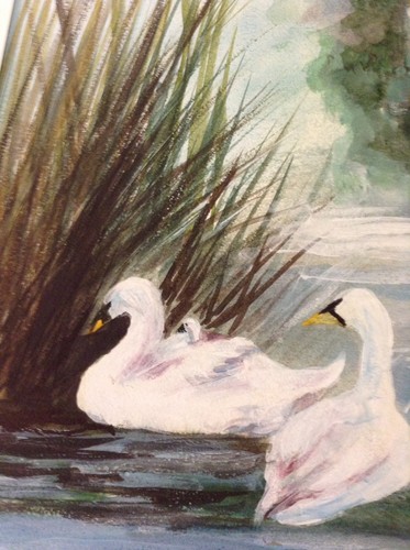 Contemporary Impressionist Watercolor Signed Painting 16x20~Swans On A Pond