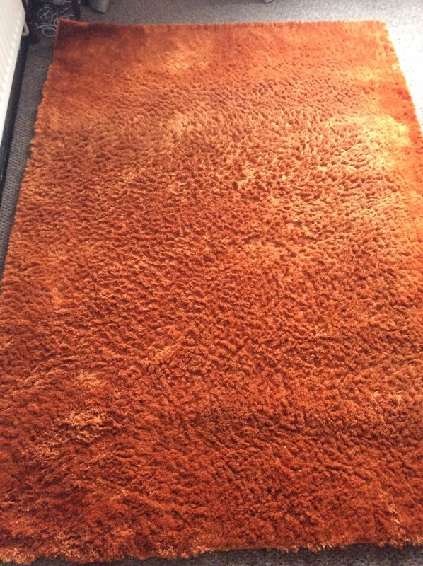 Large orange shaggy rug in Brockley, London Gumtree