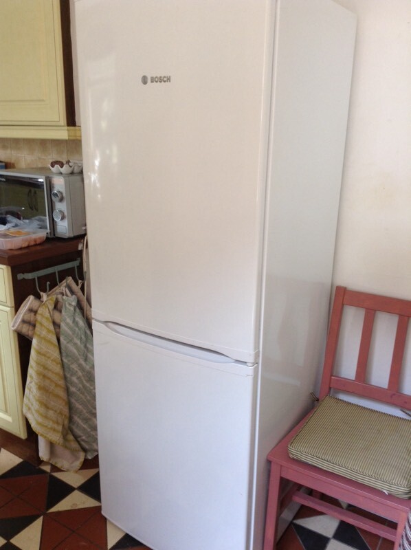 Bosch fridge/freezer. 170 Cms high 60 Cms wide. in Norwich, Norfolk Gumtree