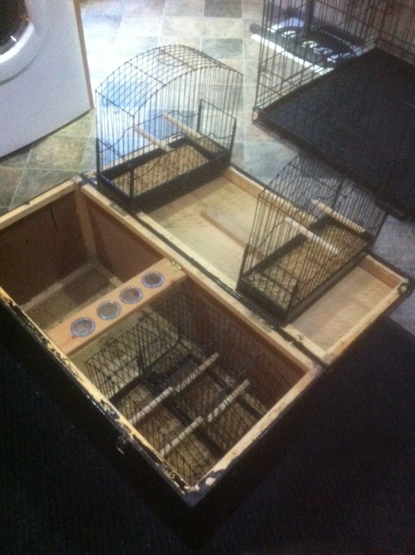 Fife/Border show cages in Clackmannan, Clackmannanshire Gumtree