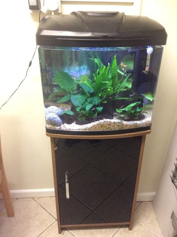 Aqua One Aqua Vue 480 fish tank and stand, heater and ornaments