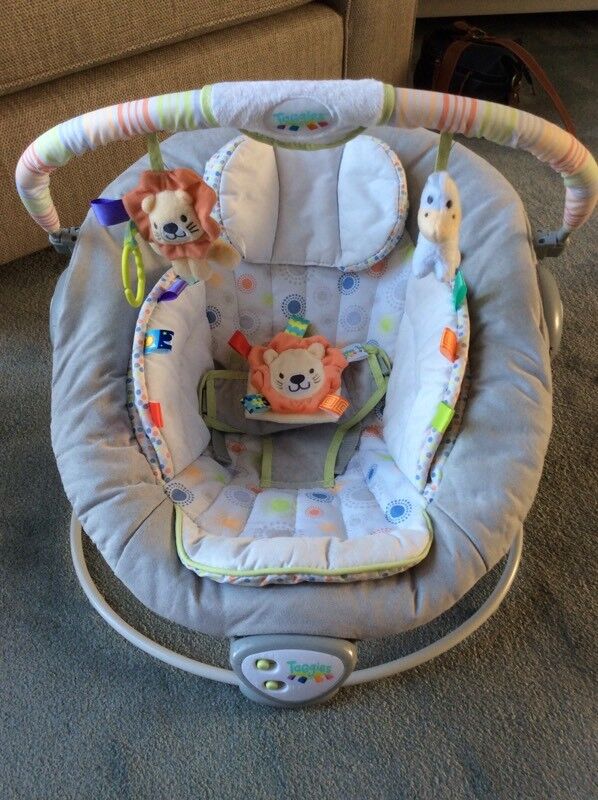 Taggies Soft N Snug Baby Bouncer Chair In Hull East
