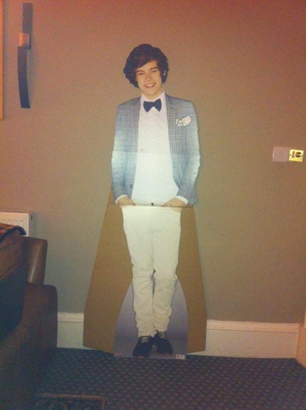 Harry Styles life size cardboard cut out in Forfar, Angus Gumtree