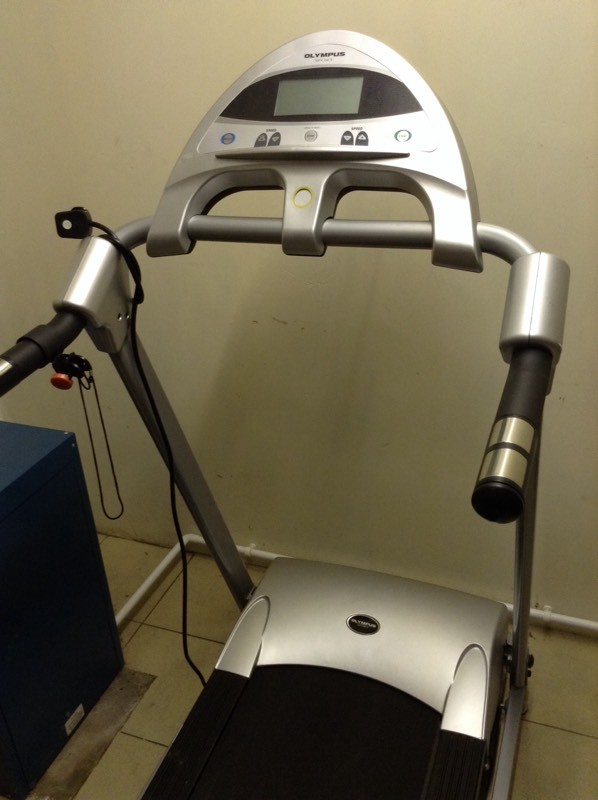 Olympus Sport Treadmill, Running/Walking, Electric in Cookstown