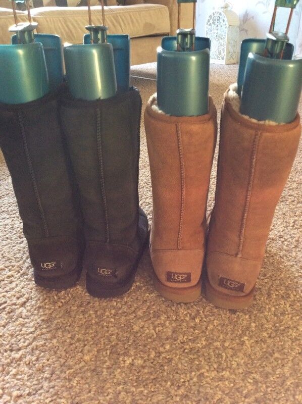 ugg york ugg york
