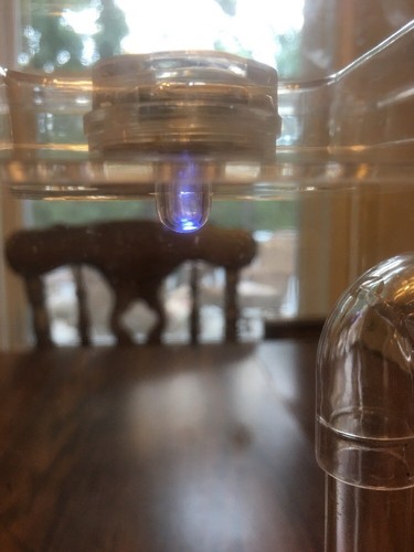 My Fun Fish Cleaning Tank