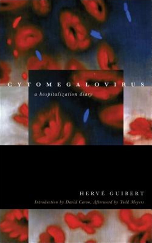 Cytomegalovirus: A Hospitalization Diary (Paperback or Softback)