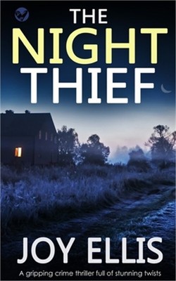 THE NIGHT THIEF a gripping crime thriller full of stunning twists (Paperback or