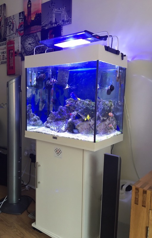 Juwel Lido 120 Fish Aquarium / Fish Tank in Exeter, Devon Gumtree