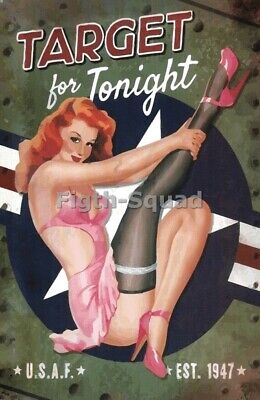 WW2 Picture Photo USAF US Sexy Pantyhose Busty Pinup PIN-UP Target 5492