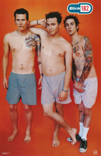 POSTER : MUSIC : BLINK  182 - UNDERWEAR -  FREE SHIPPING !   #6529        LC3 D