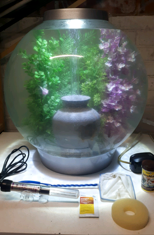 60 ltr biorb set up in Windsor, Berkshire Gumtree