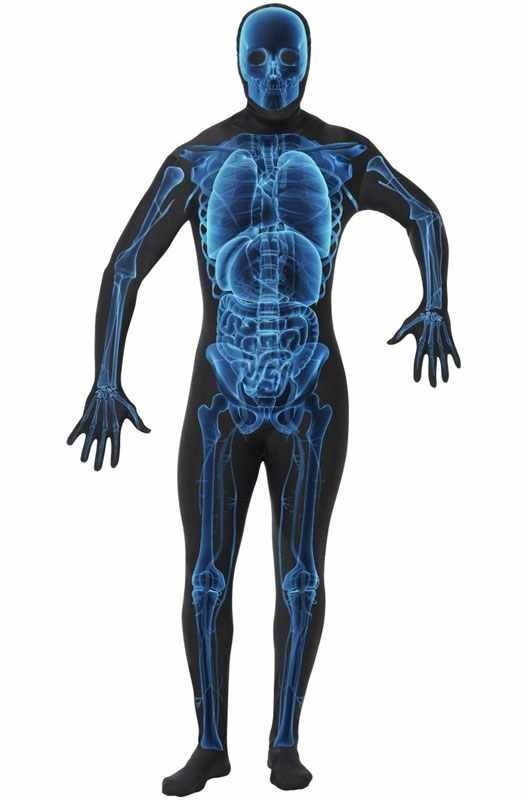 重演和战区电视、书籍和电影完整装备