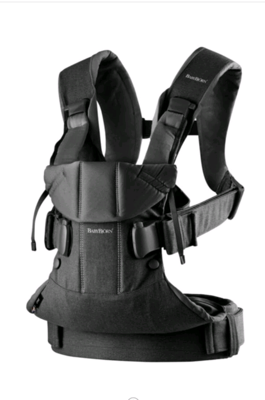 Baby Bjorn Carrier One in Newport Gumtree