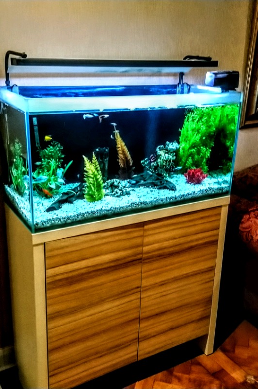 Fluval Fresh F90 Fish Tank 129 Litres In Wirral Merseyside Gumtree