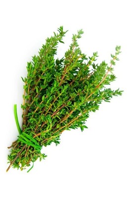 thyme 1000 seeds thymus vulgaris * grow your own herb * ez grow
